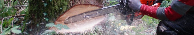 Layerslider-Forstwirtschaft-WOW-DSC09500_wg