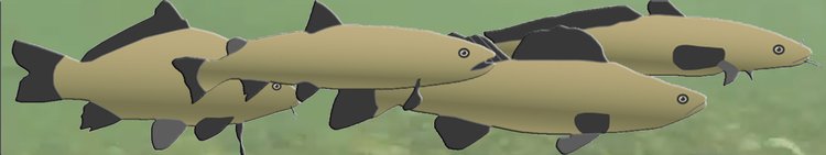 Natur-3500113-Fische-Krebs-00d-1920x360