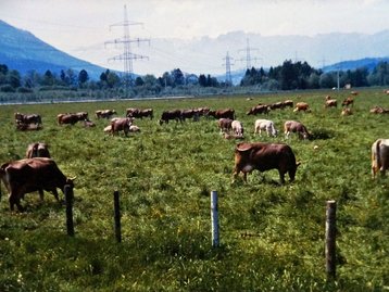 18. Allmein image-16218