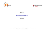 Bilder Walgau 1986 2005.pdf