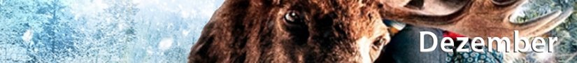 Slider_Bildungsmedien_Dezember_20_einzeilig