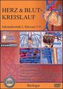 8468_Herz_Blut