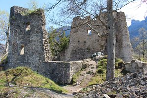 11a. Ruine Alt-Ems (Hohen-Ems)