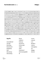 Buchstabensalat 1