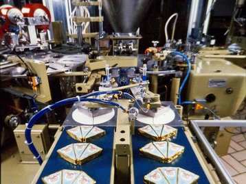 14. Schmelzkäsewerk Rupp, Lochau image-7020