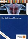 9548_Skelett